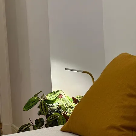 Διαμέρισμα Apartamento Agradavel No Centro Historico De Lisboa